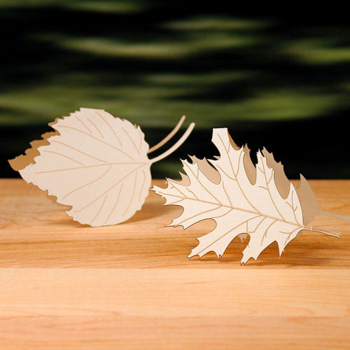 Laser Expressions Leaf Folded Place Card