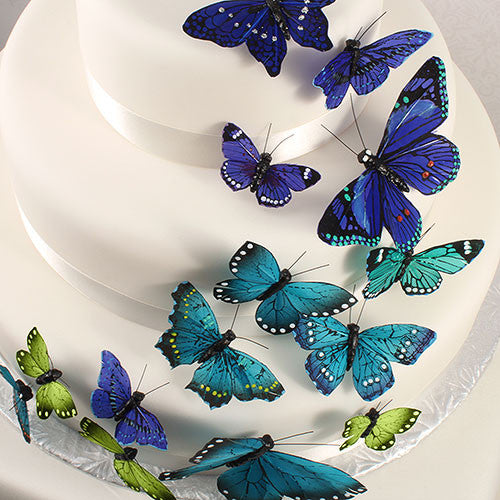 Beautiful Butterfly Cake Sets